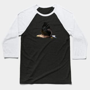 White tailed Eagle Baseball T-Shirt